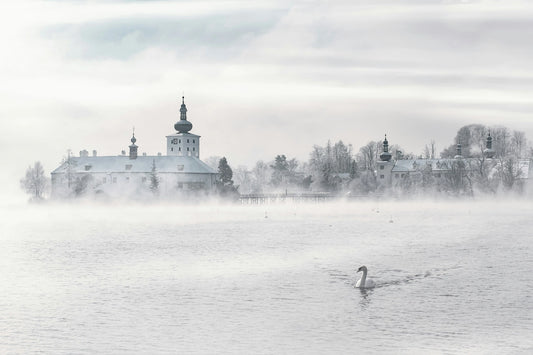 Photo by Simon Berger on Unsplash winter scene of swan crossing water