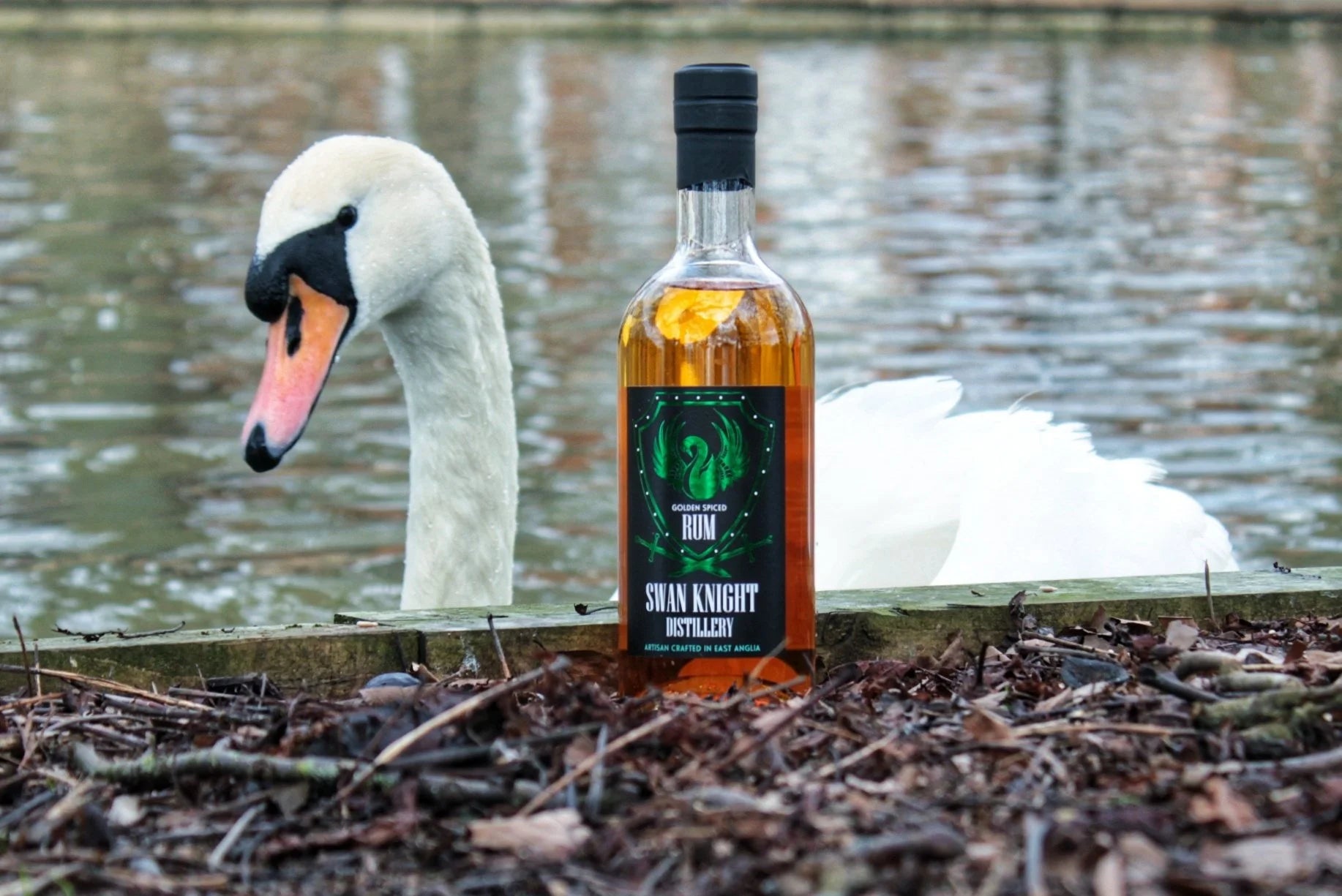 Swan investigating a bottle of Swan Knight Distillery golden spiced rum on Bedford river bank